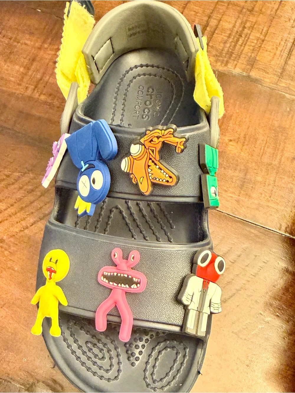 Crocs J3 Kids Classic All-Terrain Sandal Black & 14Charms Adjustable Straps